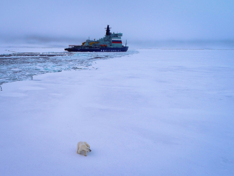 Иллюстрация к новости: «Россия должна стать арктическим научным донором»