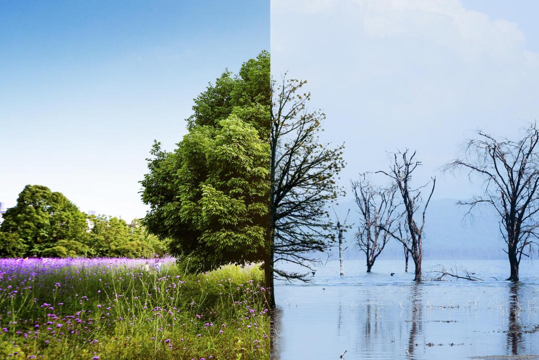 Иллюстрация к новости: Комментарий Е.Э. Прокопчук «Известиям» о проблемах международного климатического режима